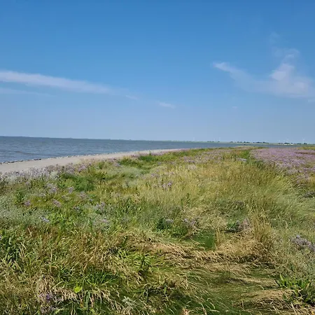 Casa vacanze Haus Wieken-huus *