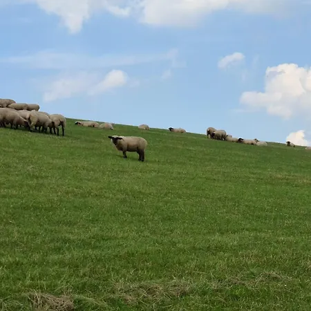 Hébergement de vacances Haus Wieken-huus Sehestedt (Lower-Saxony)